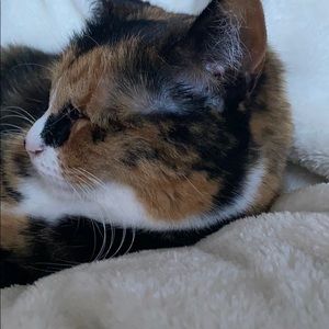 Meet your Posher, Kaetlin